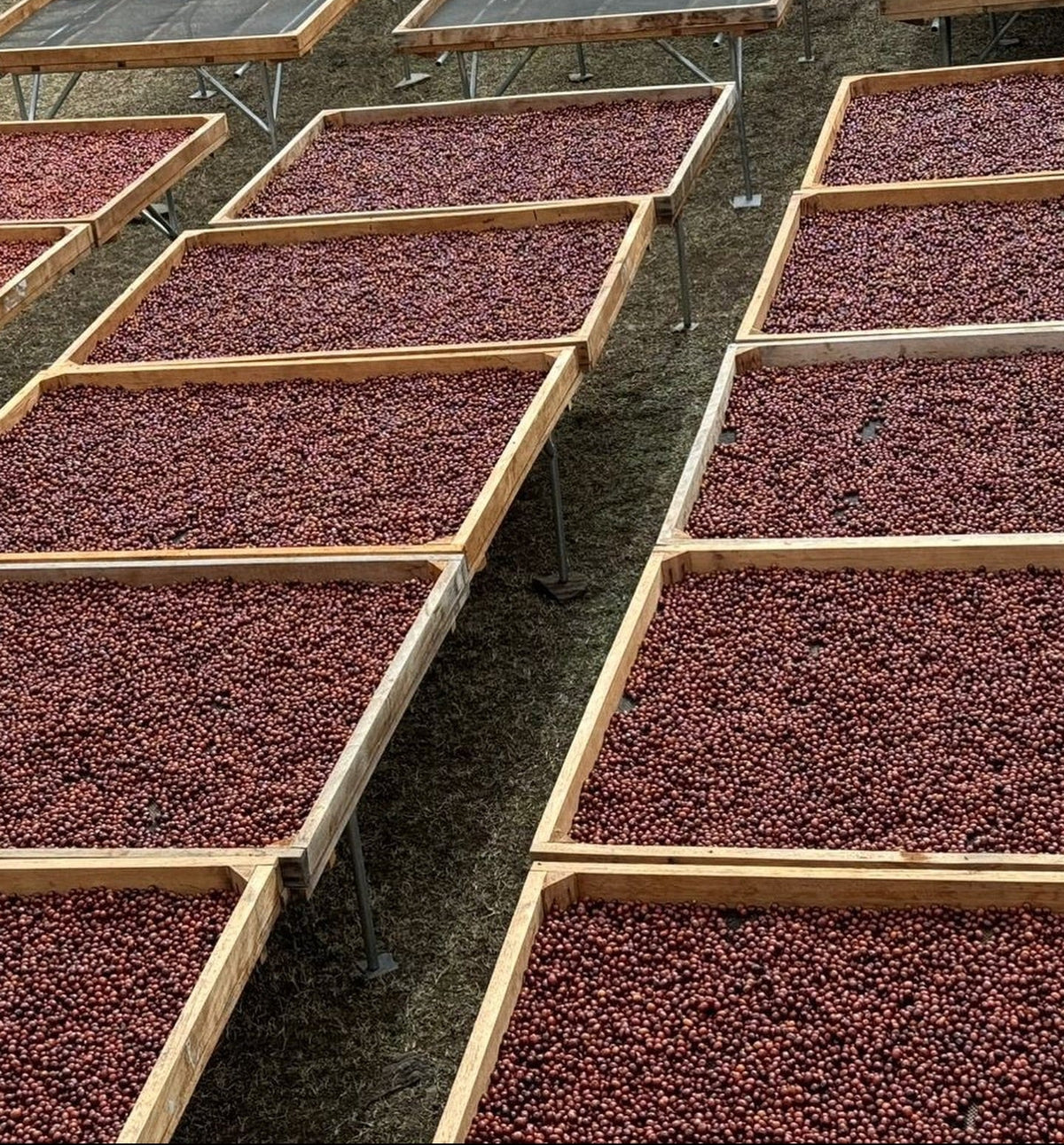 Peru, Santa Teresa