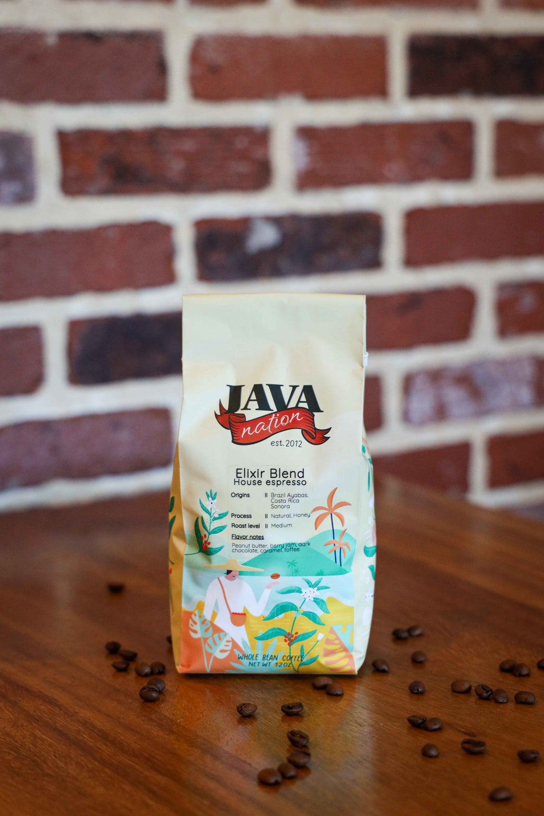 Java Nation