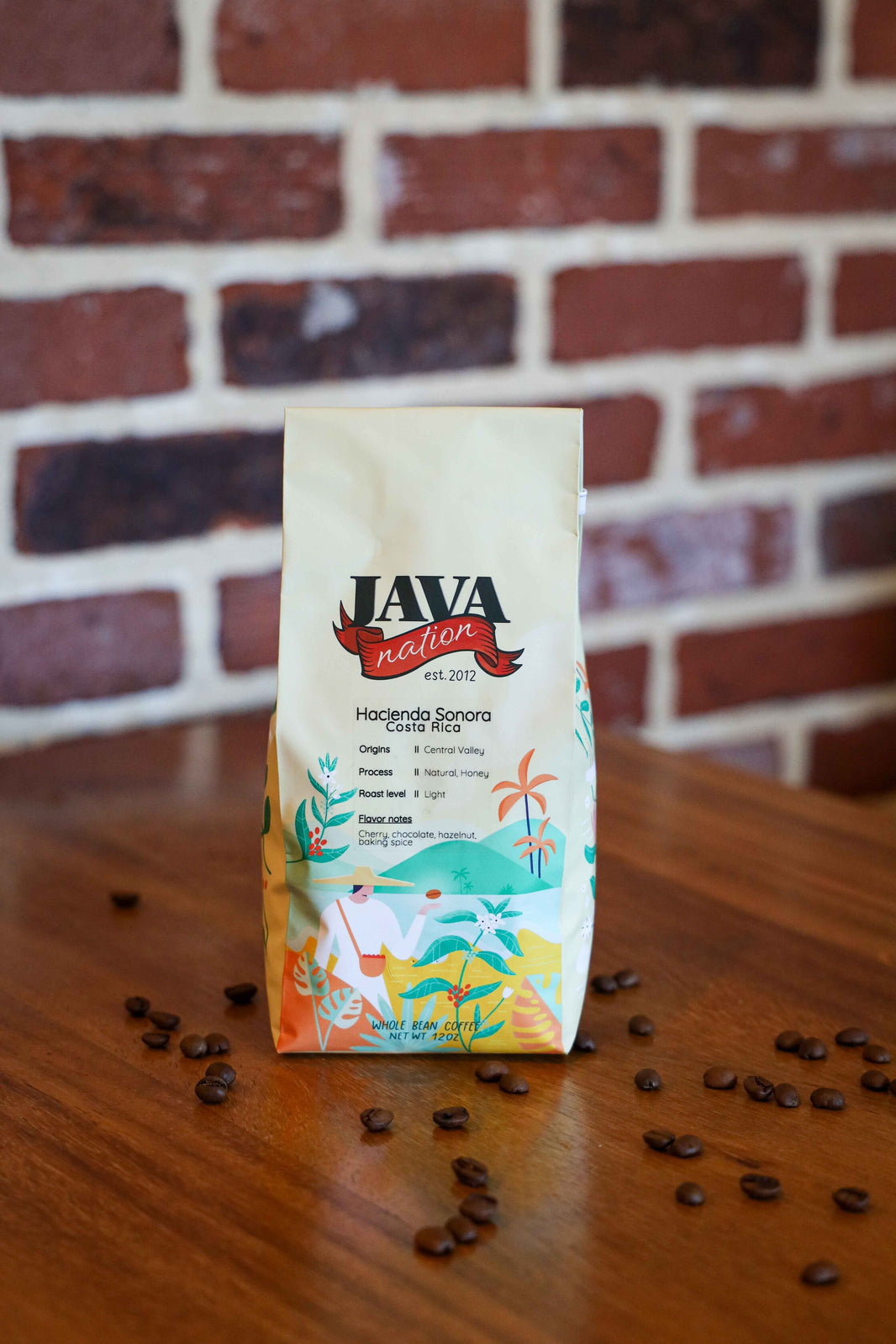 Java Nation