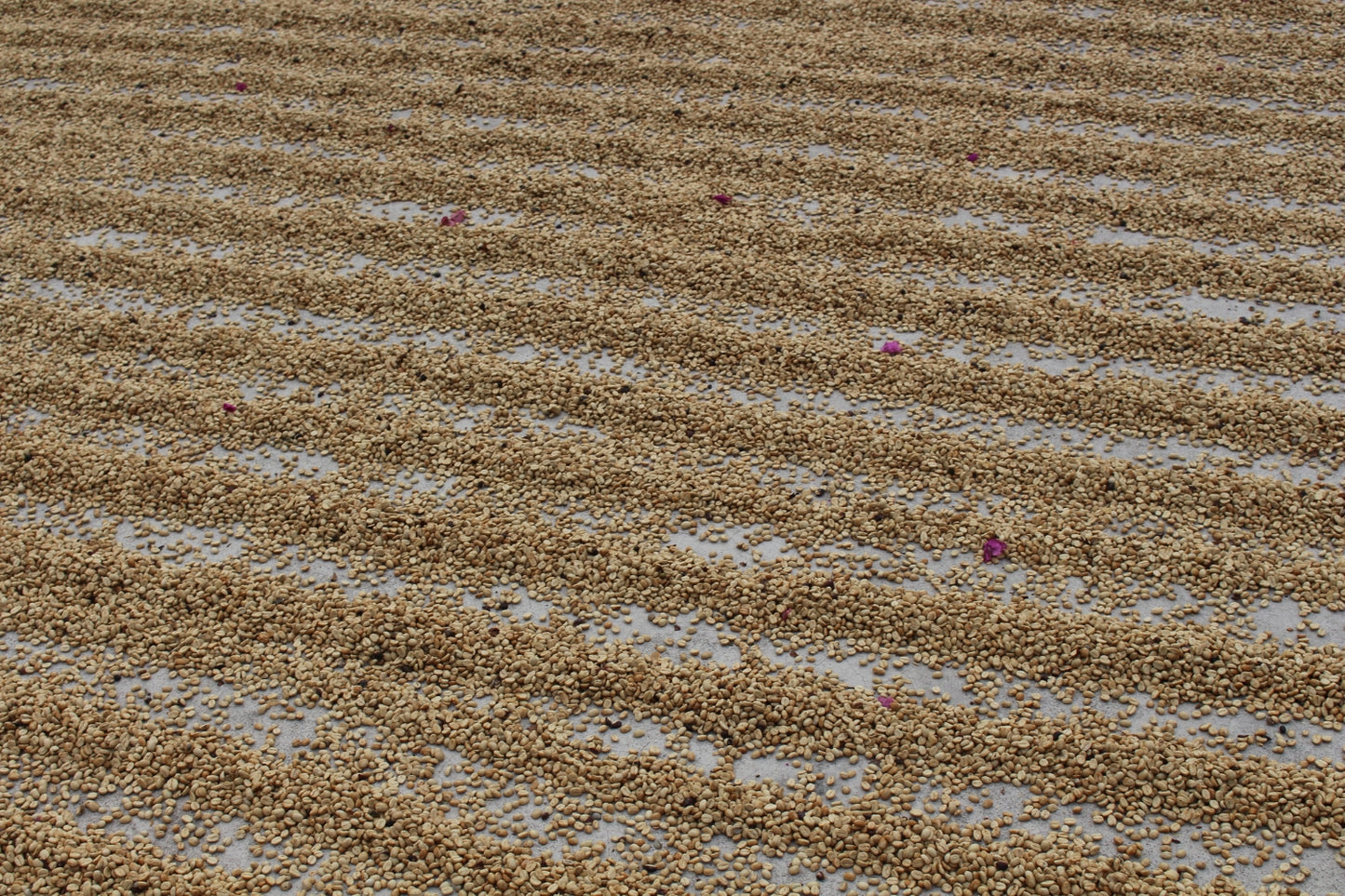 Guatemala Huehuetenango
