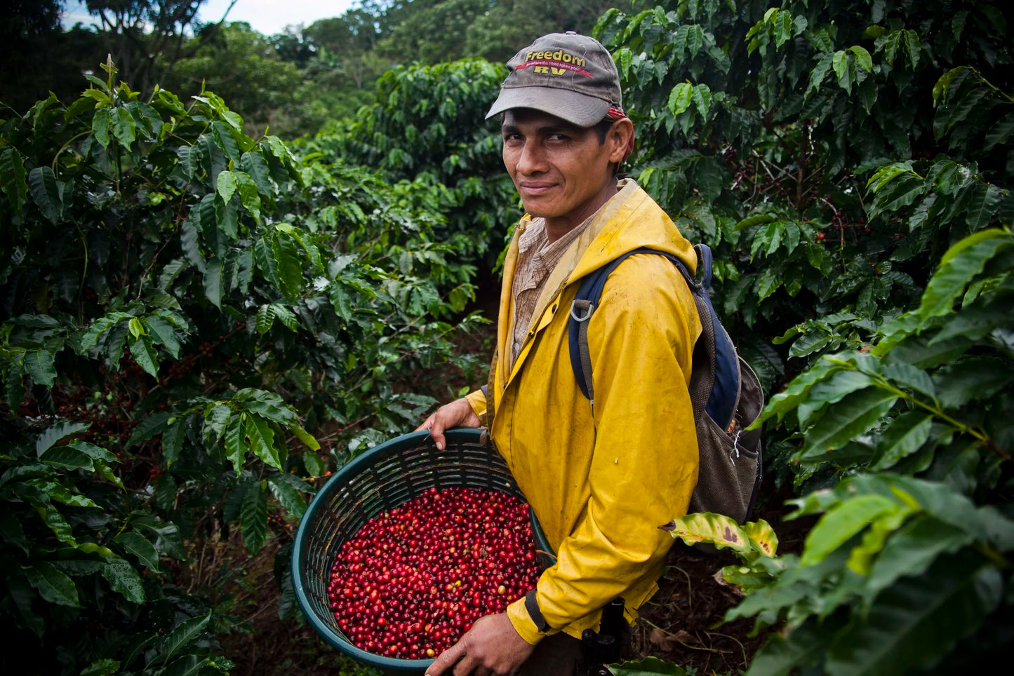 Costa Rica Hacienda Sonora