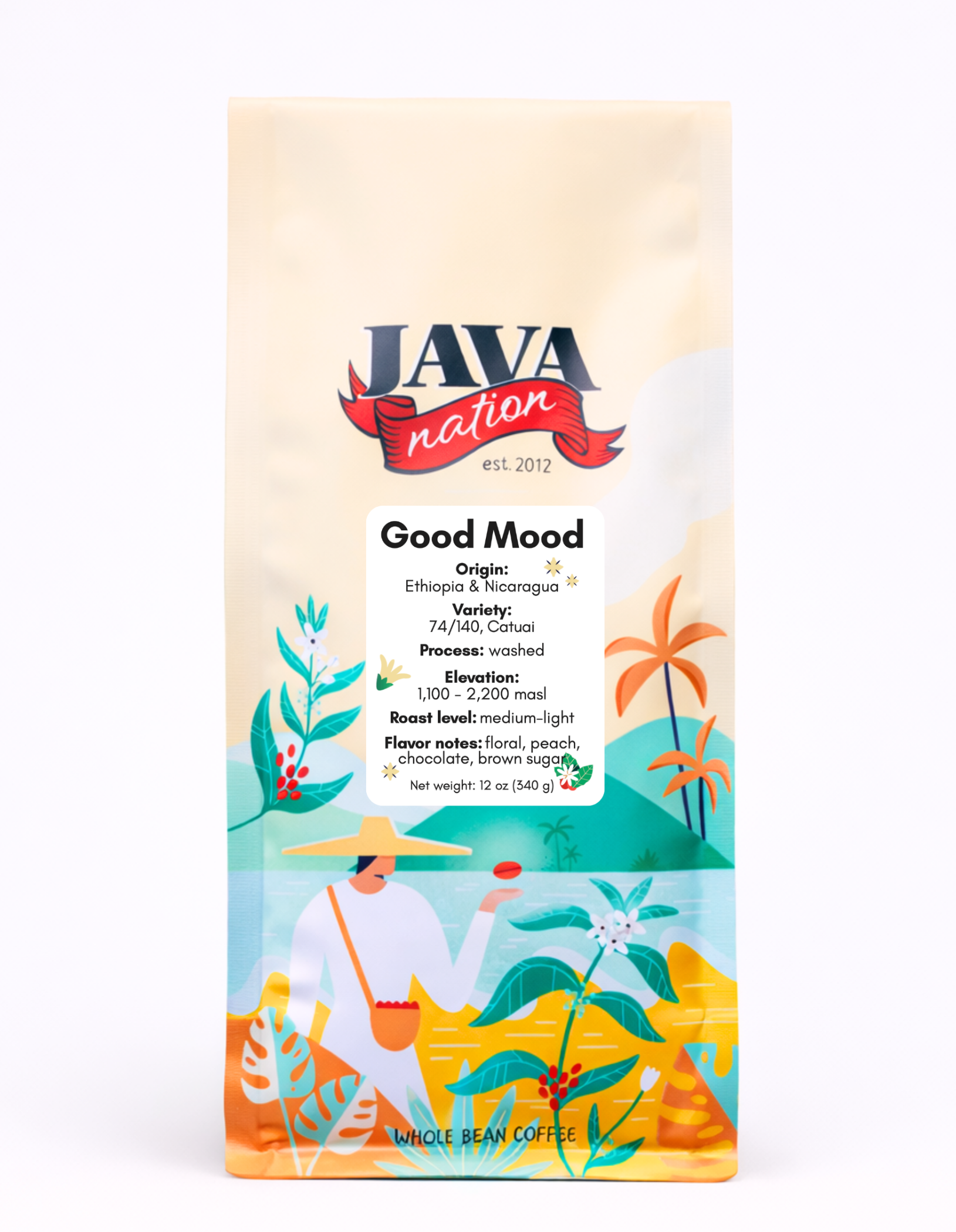 Java Nation