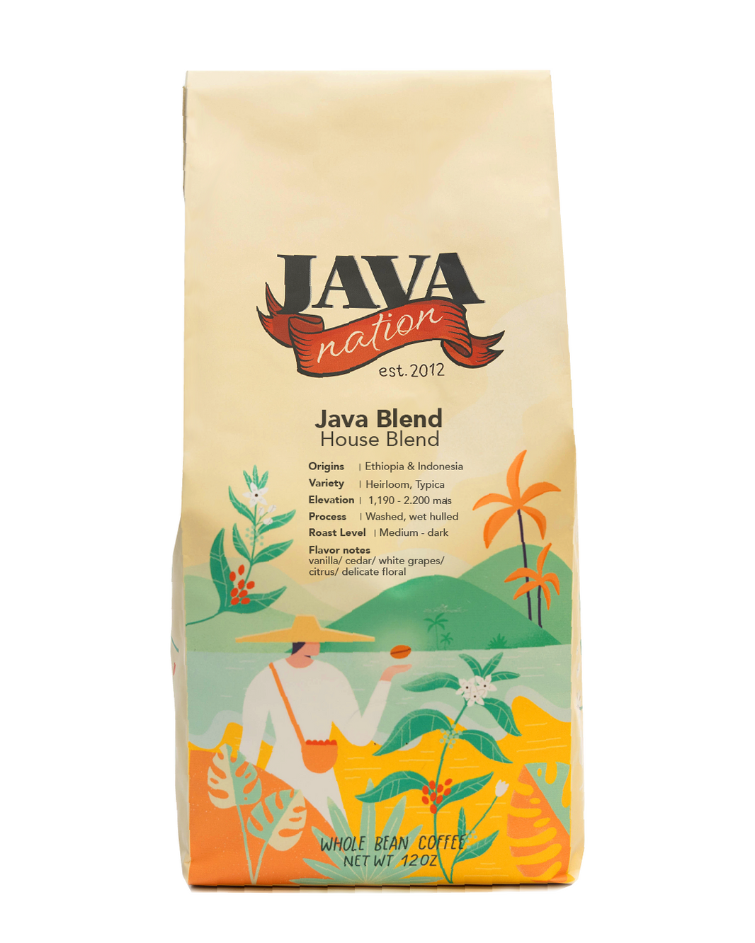 Java Nation
