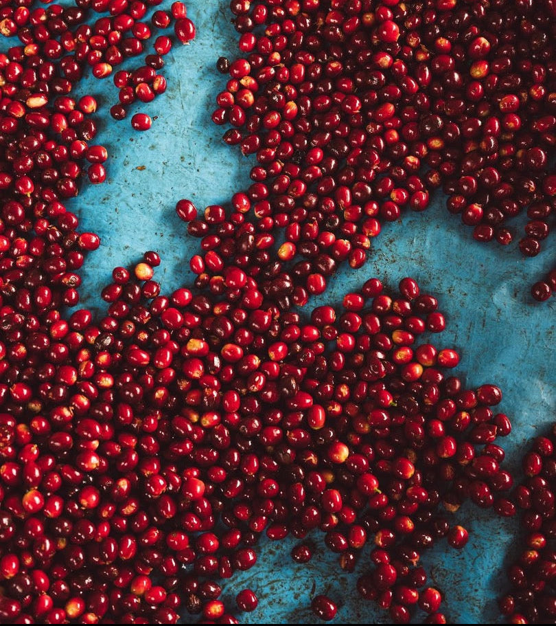 Peru, Santa Teresa