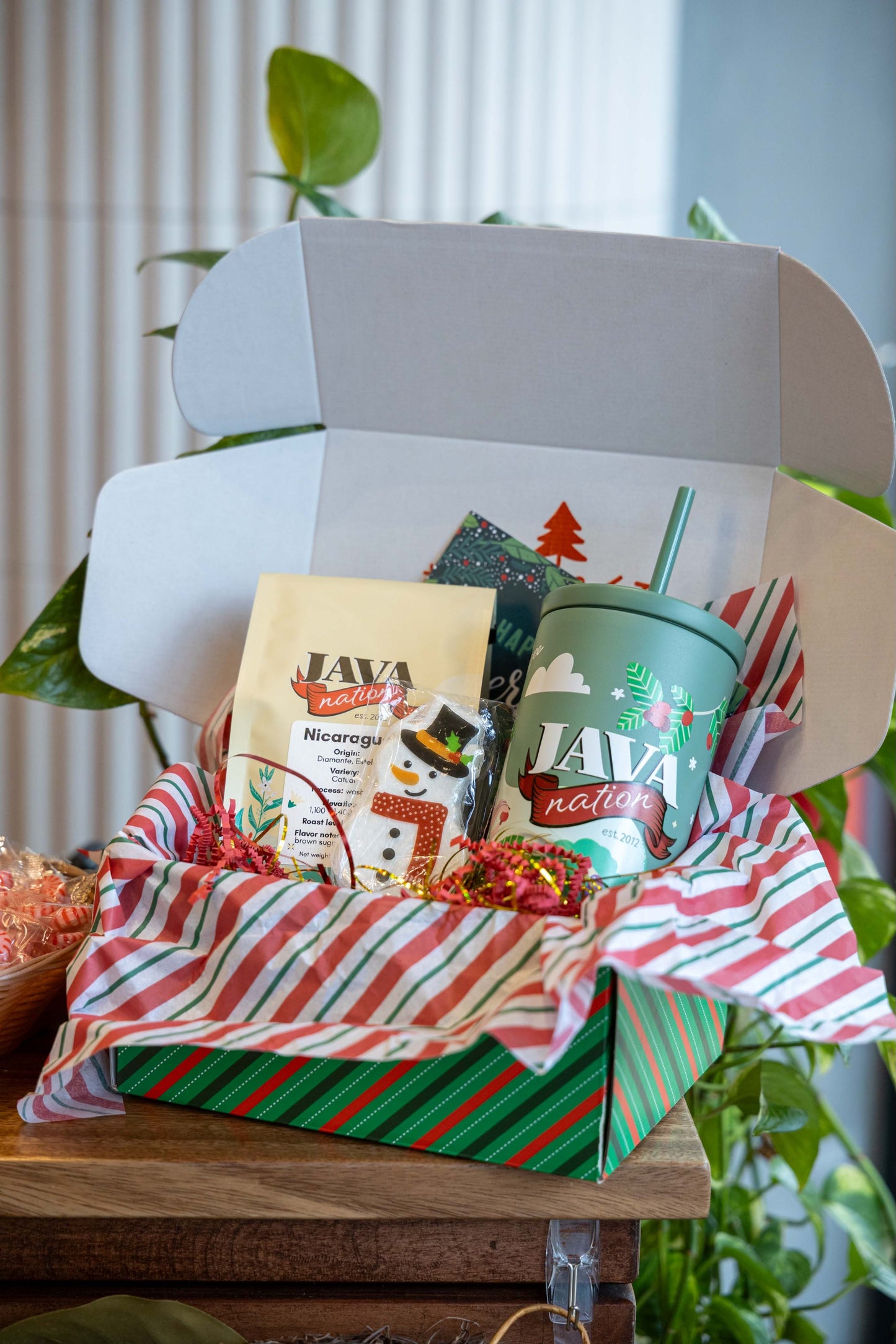 Holiday Gift Box – Limited Edition
