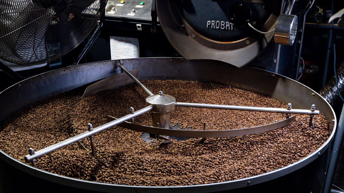 Java Nation